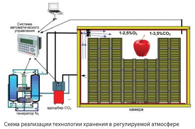 хранение в регулируемой атмосфере